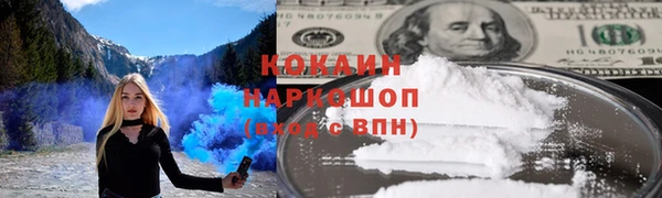 дживик Няндома