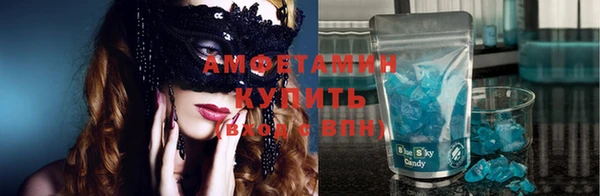 ГАЛЛЮЦИНОГЕННЫЕ ГРИБЫ Осинники