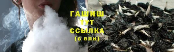 дживик Няндома