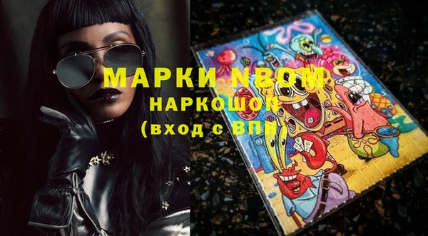 дживик Няндома