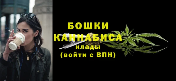 ГАЛЛЮЦИНОГЕННЫЕ ГРИБЫ Осинники