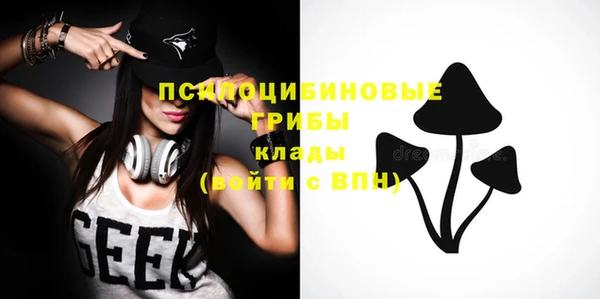 дживик Няндома