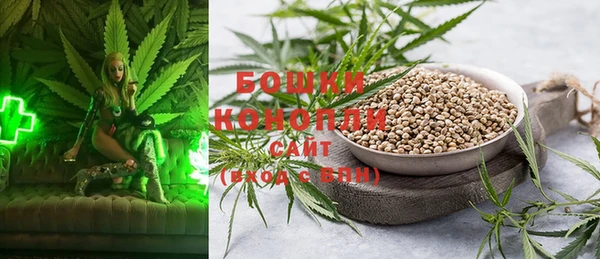 ГАЛЛЮЦИНОГЕННЫЕ ГРИБЫ Осинники