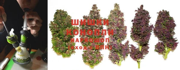 крисы Нязепетровск