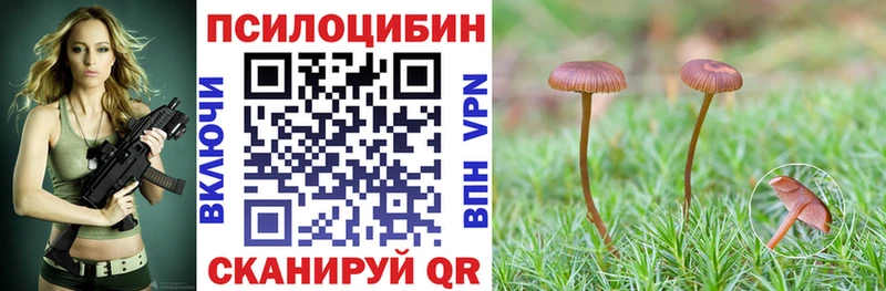 Галлюциногенные грибы ЛСД  Зима 
