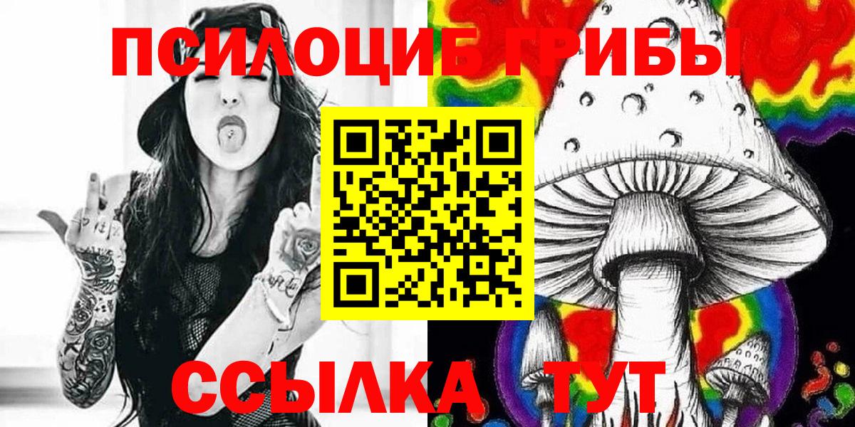 Галлюциногенные грибы Psilocybe Зима